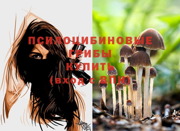 apvp Арсеньев