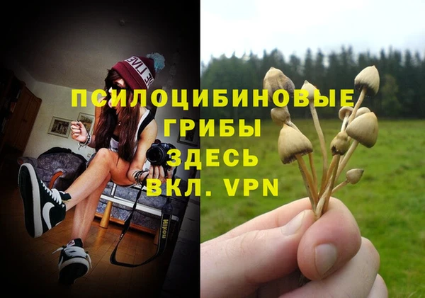 apvp Арсеньев