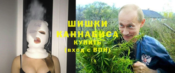 дмт Аркадак